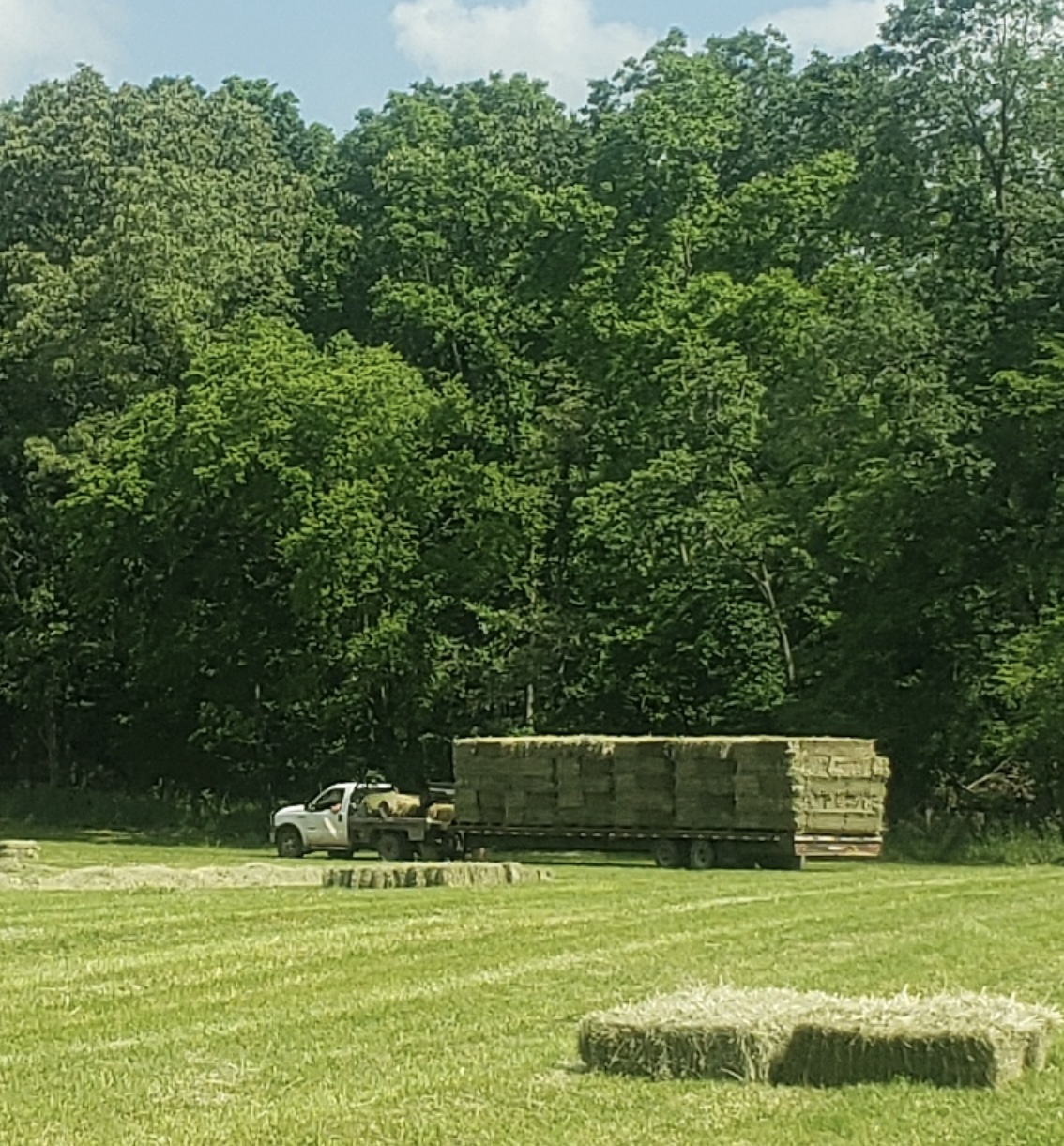 Flatbed trailer loaded with small square hay bales directly in the field near Alton, MO